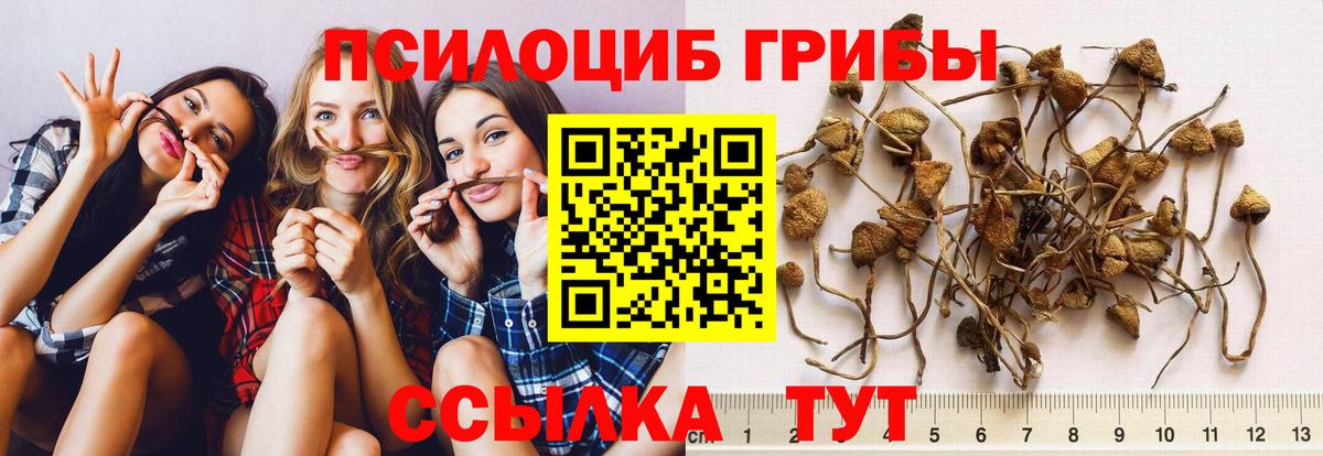 Галлюциногенные грибы прущие грибы Кыштым